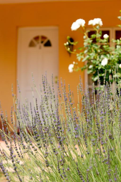 Little Tuscany Boutique Hotel Johannesburg Esterno foto